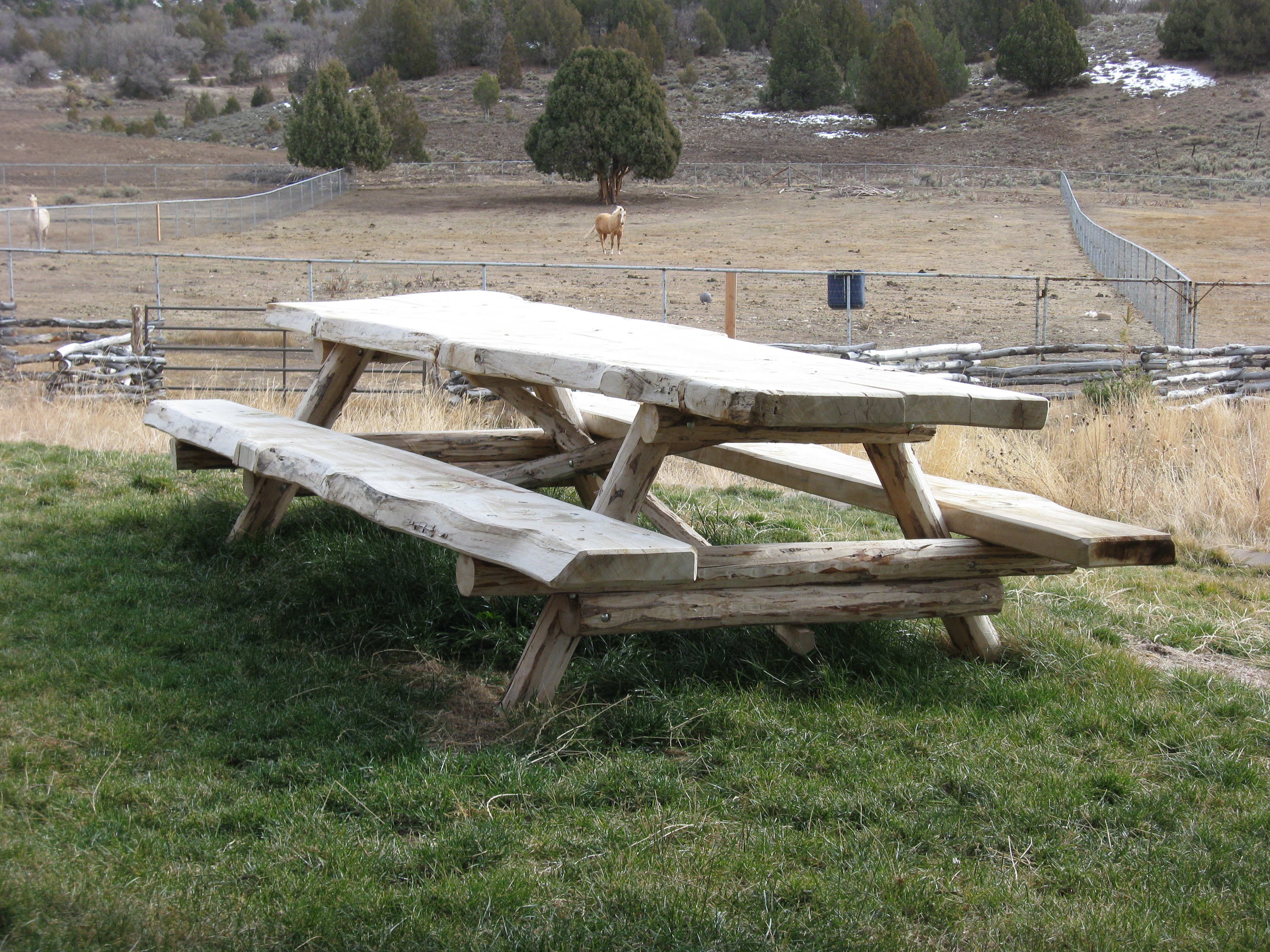 TIMBER PICNIC TABLE « PICNIC TABLES